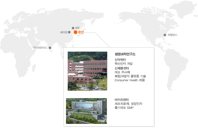 용인 > 생명과학연구소, 의약연구소 : 개량신약, DDS 천연물 및 원료, 신약연구소 : 신약 개발 및 기술 평가, 바이오연구소 : 바이오 신약 및 시밀러